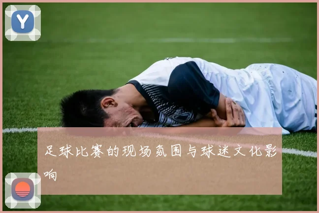 足球比赛的现场氛围与球迷文化影响