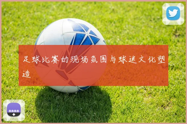 足球比赛的现场氛围与球迷文化塑造