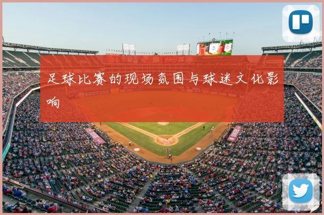 足球比赛的现场氛围与球迷文化影响