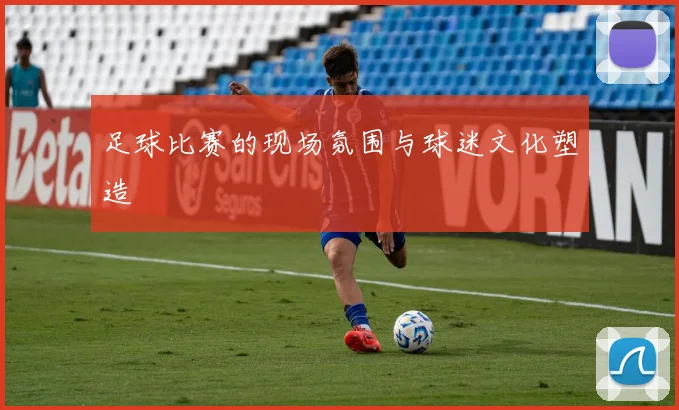 足球比赛的现场氛围与球迷文化塑造